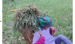 网红小英被曝大瓜,背后真相令人震惊